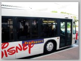 Disney bus to Animal Kingdom