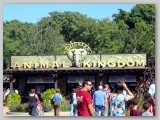 Animal Kingdom Entrance