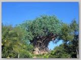 The Tree of Life, an impressive icon, stands tall in the distance